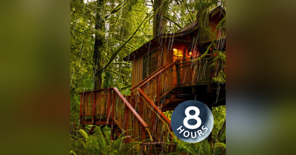 Sleeping Sounds of Rain in Forest Falling upon Treehouse | 8 Hours Sleeping Sounds of Rain in Forest Falling upon Treehouse | 8 Hours