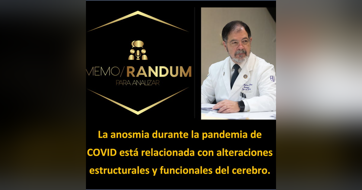La anosmia durante la pandemia de COVID está relacionada con alteraciones estructurales y funcionales del cerebro. La anosmia durante la pandemia de COVID está relacionada con alteraciones estructurales y funcionales del cerebro.