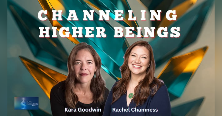 image for Blue Avian Channeling and Spirit Guide Wisdom - Rachel Chamness