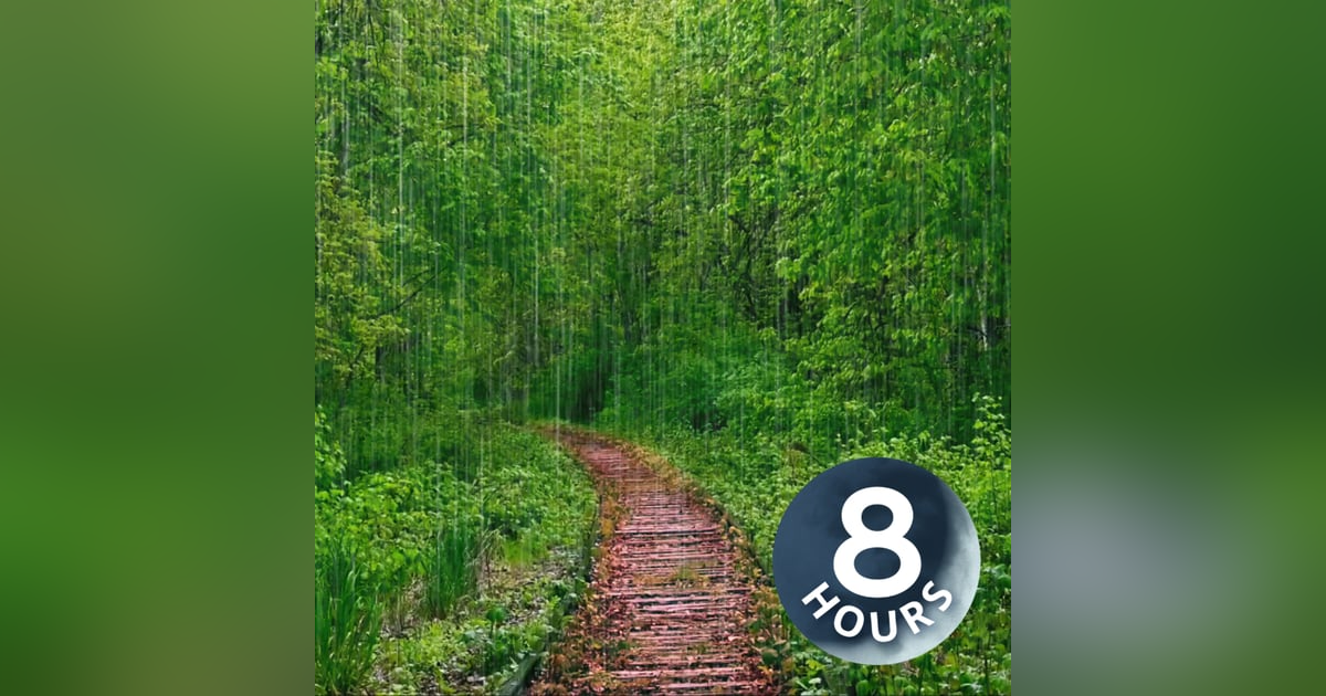 Rain White Noise | 8 Hour Storm Sounds Ambience for Relaxation & Sleep Rain White Noise | 8 Hour Storm Sounds Ambience for Relaxation & Sleep