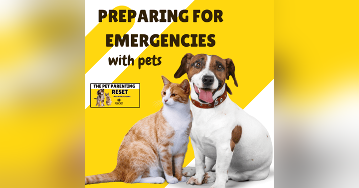 image for Preparing For Emergencies With Pets