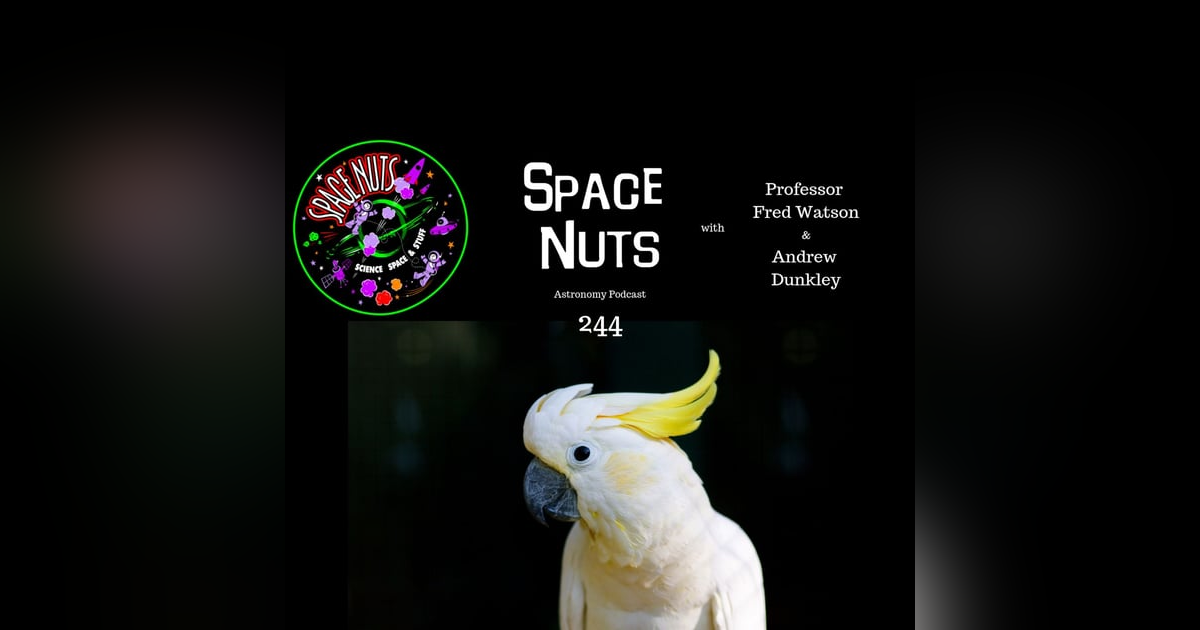 The One with the Cockatoo The One with the Cockatoo