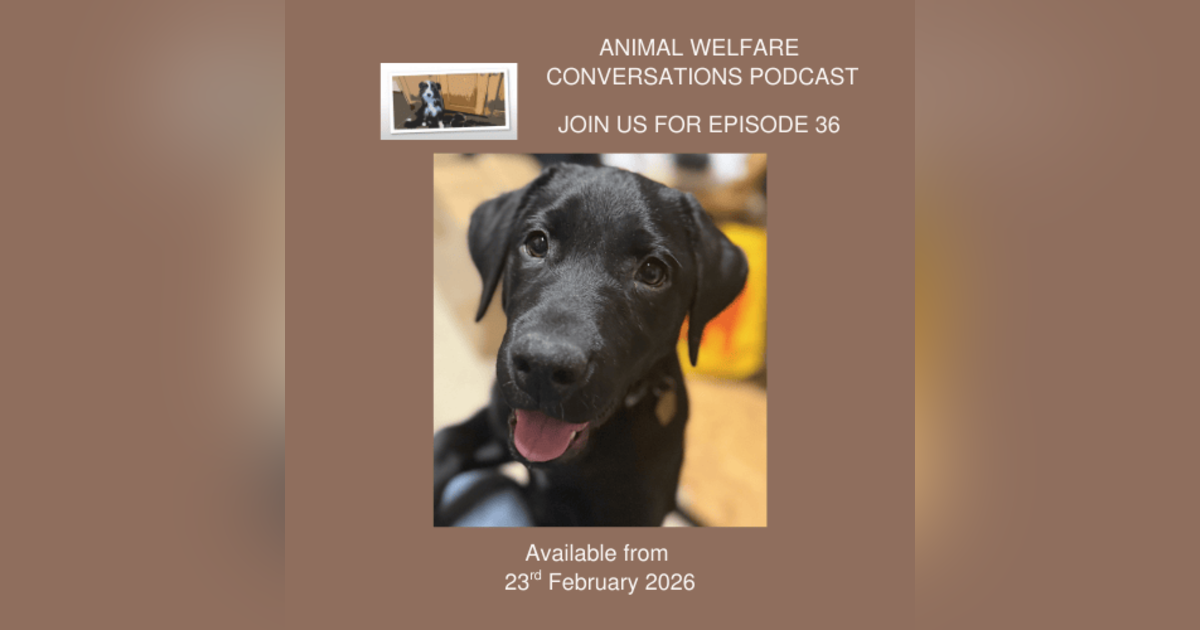 2026: New Animal welfare conversations 2026: New Animal welfare conversations