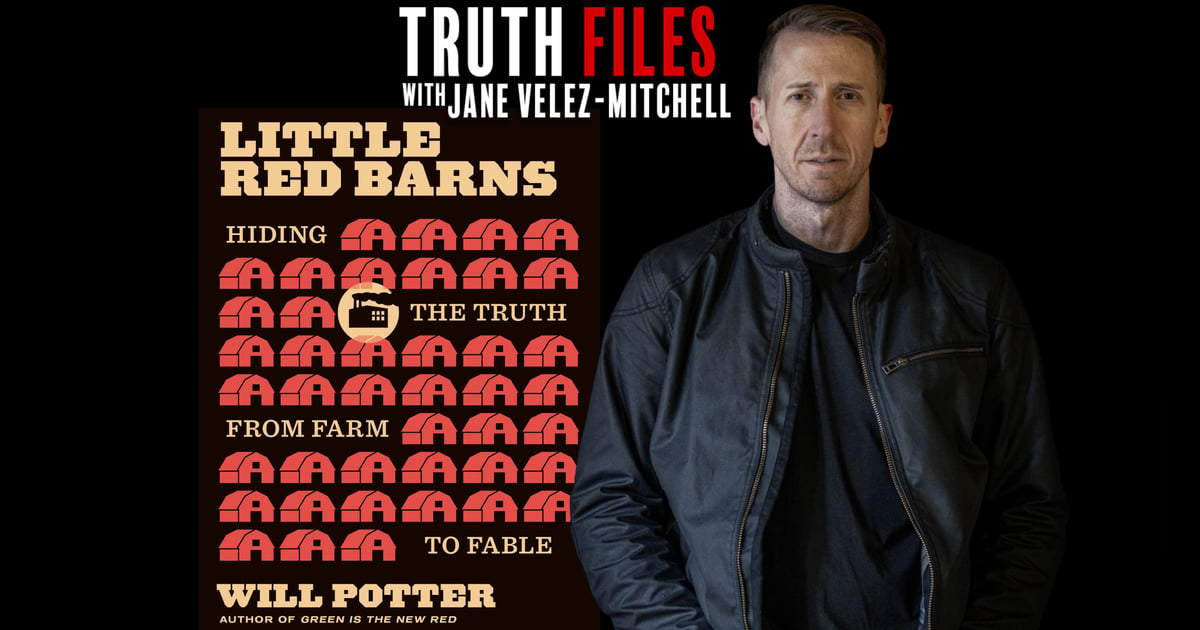 Little Red Bans - This could be the decade's most important book. Little Red Bans - This could be the decade's most important book.
