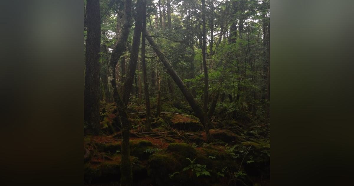 Historias de Miedo Julio 8 de 2025 LEYENDAS EN JAPON Historias de Miedo Julio 8 de 2025 LEYENDAS EN JAPON