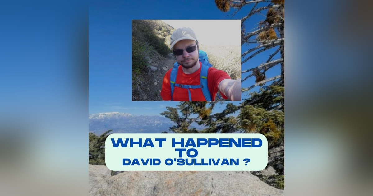 Into the Wilderness: David O'Sullivan's Story Into the Wilderness: David O'Sullivan's Story