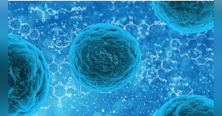 image for One Measles Death Is Too Many