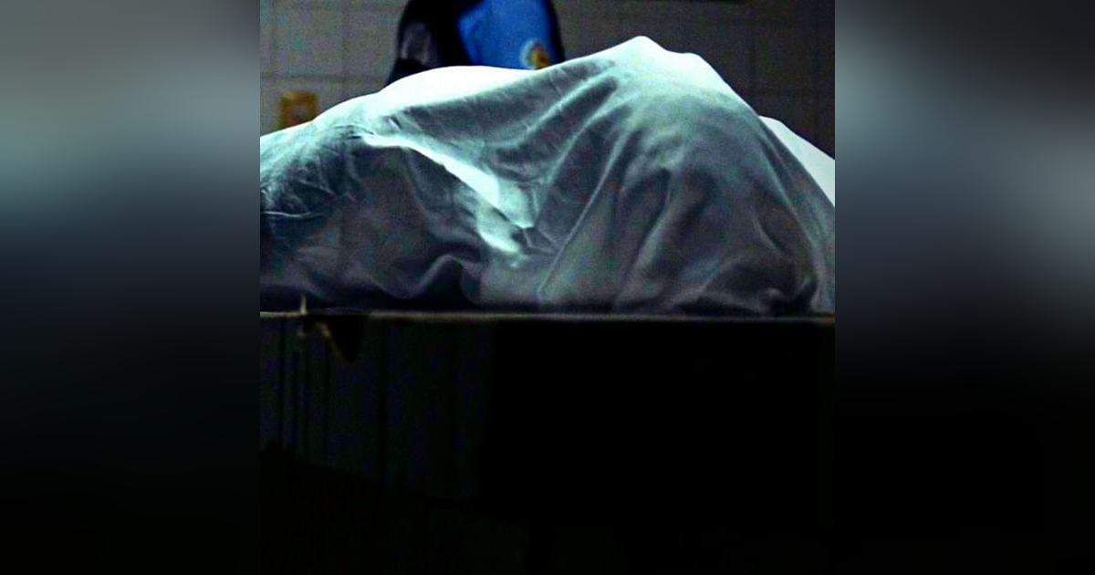 Autopsia A Un Ser Aterrador Historias De Terror - REDE Autopsia A Un Ser Aterrador Historias De Terror - REDE