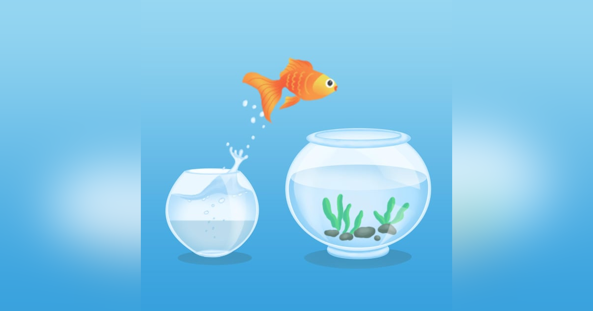 Working Identity: Unconventional Strategies for Reinventing Your Career, by Herminia Ibarra Working Identity: Unconventional Strategies for Reinventing Your Career, by Herminia Ibarra