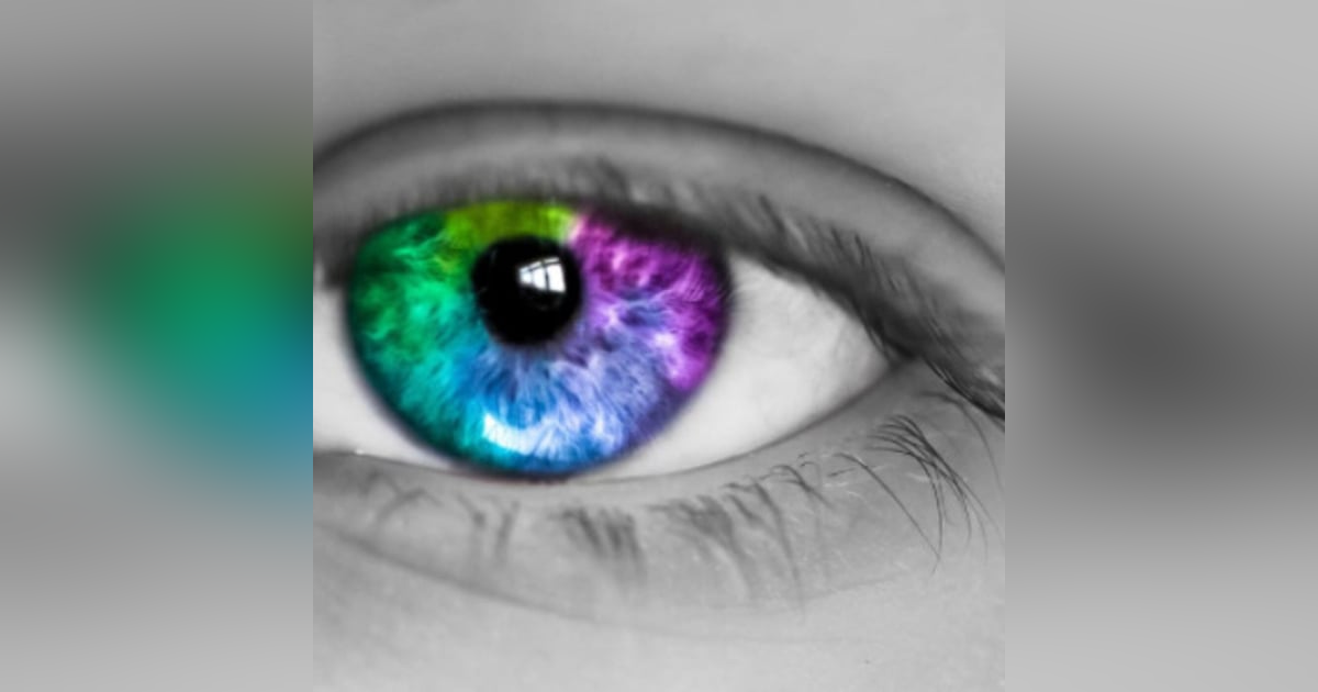 PERSONAL BLINDSPOTS & THE SABOTEUR WITHIN PERSONAL BLINDSPOTS & THE SABOTEUR WITHIN