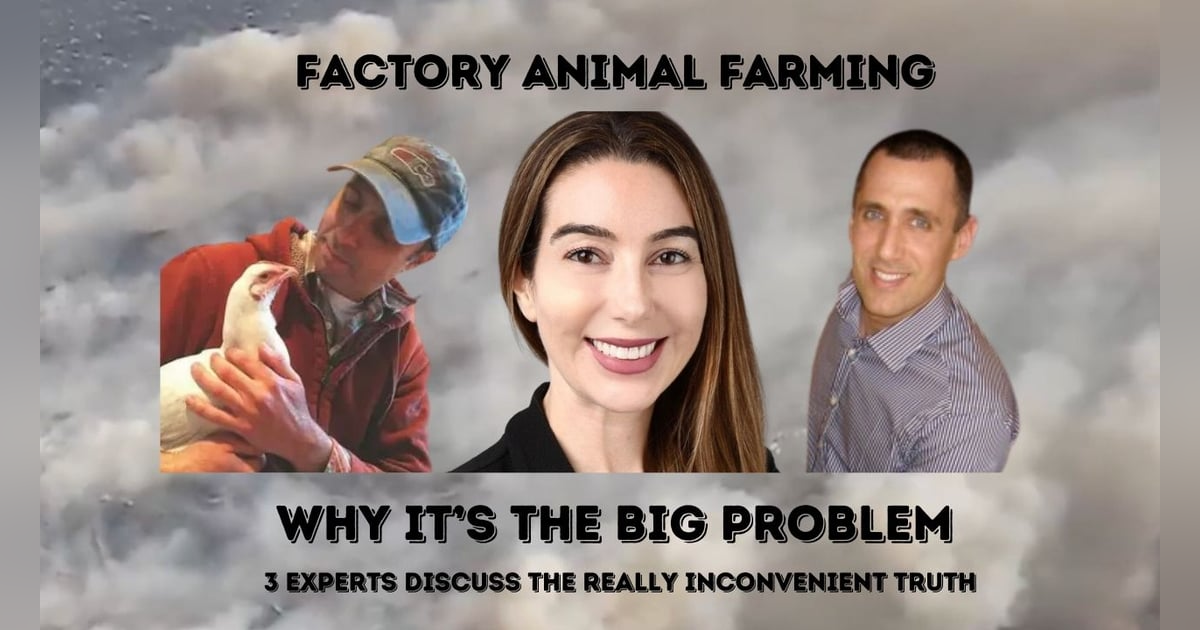 UnchainedTV: Wildfires, Bird Flu: How Government Subsidies to Animal Agriculture Fuel these Crises UnchainedTV: Wildfires, Bird Flu: How Government Subsidies to Animal Agriculture Fuel these Crises