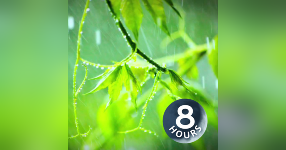 Rain Sounds for Sleep, Relaxation or Focus 8 hours Rain Sounds for Sleep, Relaxation or Focus 8 hours