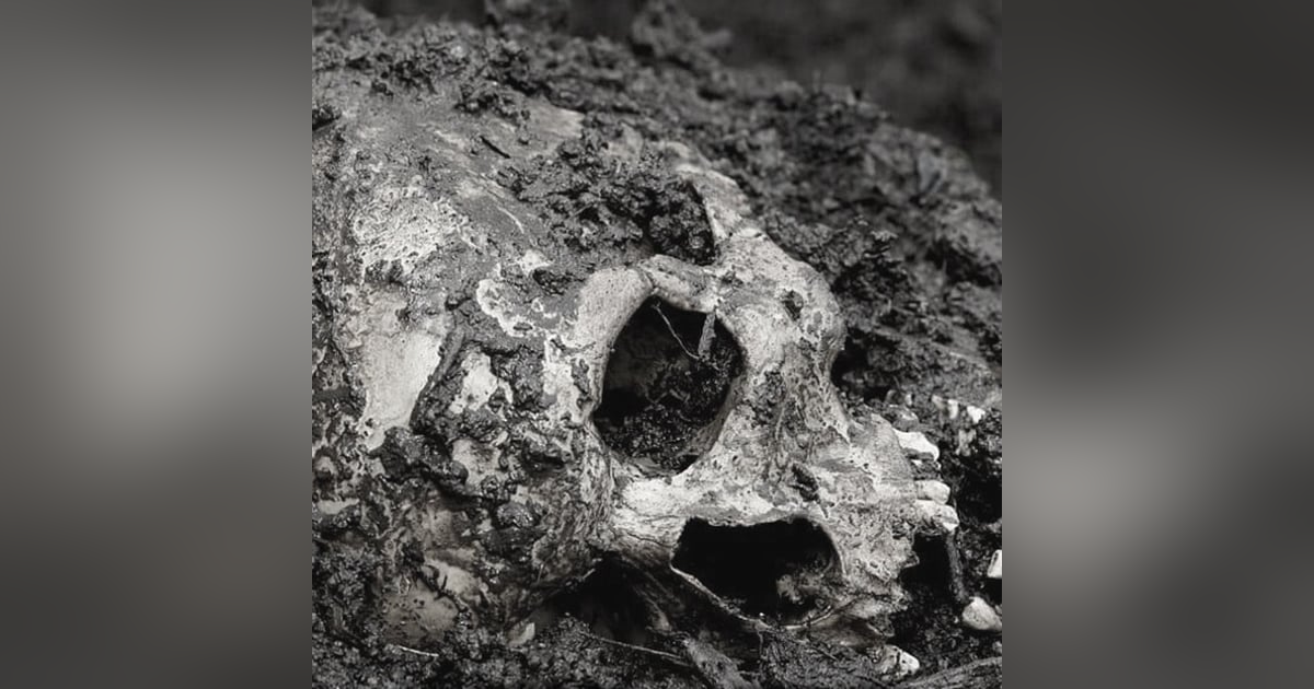 La Fosa De La Bruja Partera Historias De Terror - REDE La Fosa De La Bruja Partera Historias De Terror - REDE