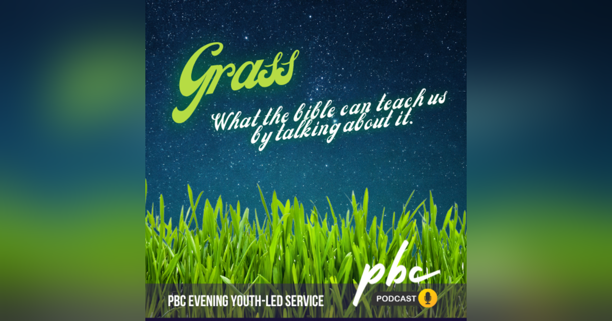 Youth-Led Service: Grass Youth-Led Service: Grass