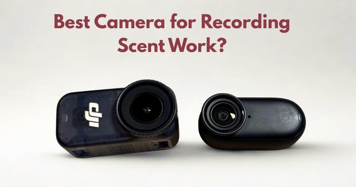 image for Best Video Camera for Recording Scent Work