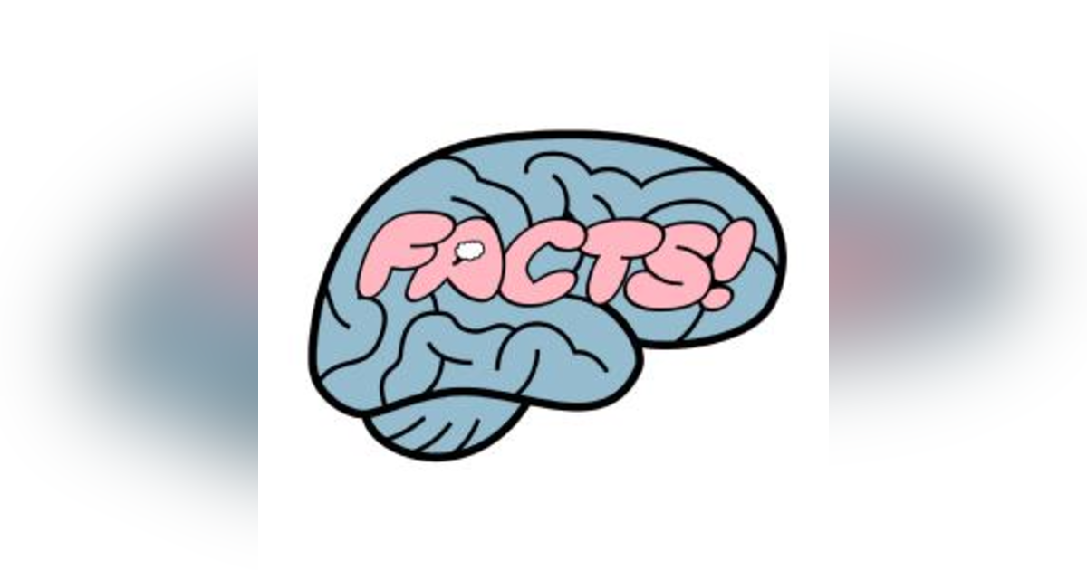 Your Brain on Facts Your Brain on Facts