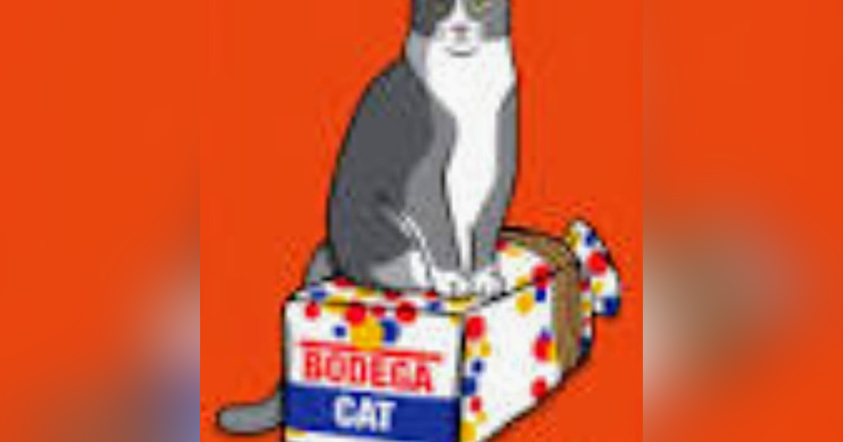 Why the heck are y’all still up part 1 and part. 2 Why the heck are y’all still up part 1 and part. 2