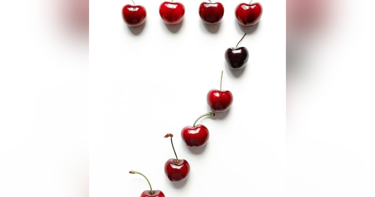 Las 7 Reglas de la Autosuficiencia: Cómo ser el Dueño de tu Futuro Las 7 Reglas de la Autosuficiencia: Cómo ser el Dueño de tu Futuro