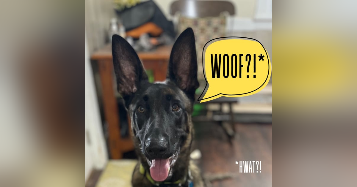 50: Finlay is Grounded 50: Finlay is Grounded