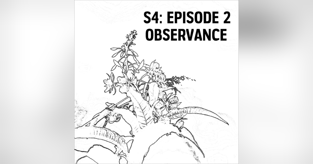 S4: E02 - Observance S4: E02 - Observance
