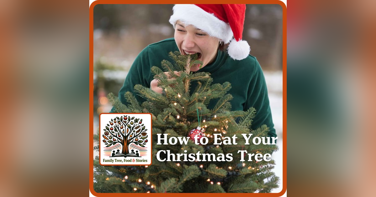 How to Eat Your Leftover Christmas Tree: For Real! How to Eat Your Leftover Christmas Tree: For Real!