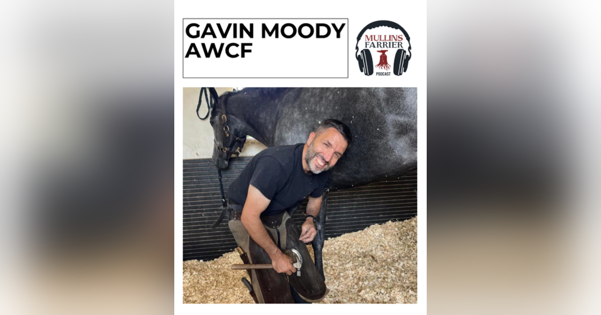 Gavin Moody AWCF Gavin Moody AWCF