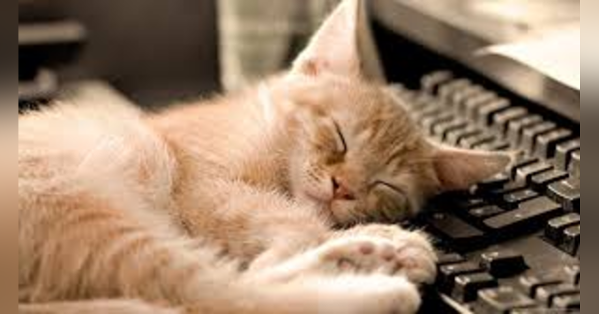 How to Take a Power Nap (National Napping Day) How to Take a Power Nap (National Napping Day)