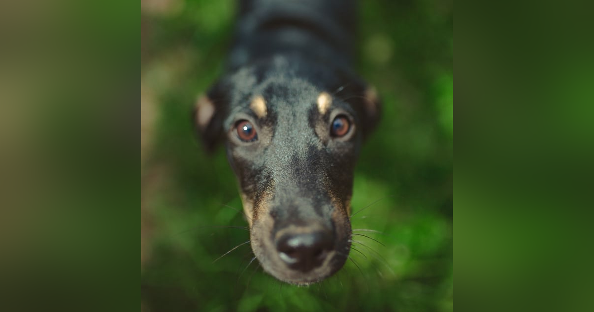 #136 Let go of Guilt (Music Meditation) #136 Let go of Guilt (Music Meditation)