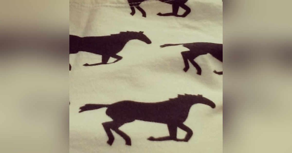 Ep.1 -- Meet your hosts! Ep.1 -- Meet your hosts!