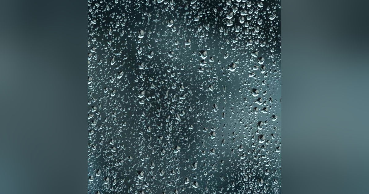 5 Hours of Serene Snowfall and Moderate Rain on Trees | Overcast Day Ambience 5 Hours of Serene Snowfall and Moderate Rain on Trees | Overcast Day Ambience