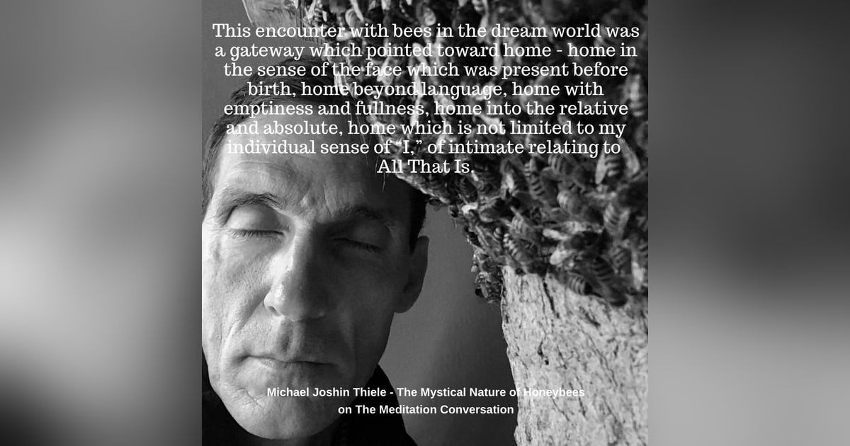 057. The Mystical Nature of Honeybees - Michael Joshin Thiele 057. The Mystical Nature of Honeybees - Michael Joshin Thiele