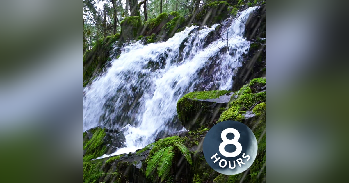Waterfall & Rain Sounds in Peaceful Forest | Relax or Study to Water White Noise 8 Hours Waterfall & Rain Sounds in Peaceful Forest | Relax or Study to Water White Noise 8 Hours