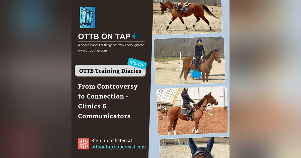 OTTB Training Diaries, March Edition: From Controversy to Connection - Clinics & Communicators (Sneak Peek!) OTTB Training Diaries, March Edition: From Controversy to Connection - Clinics & Communicators (Sneak Peek!)