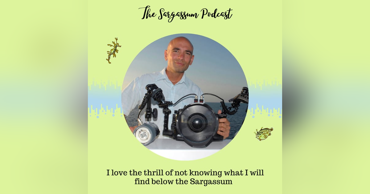 Episode 11: The beautiful world below Sargassum mats with Chris Gug Episode 11: The beautiful world below Sargassum mats with Chris Gug