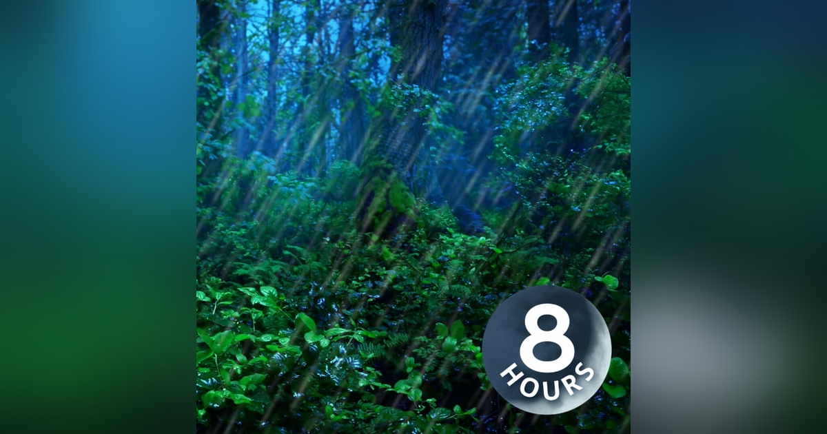 Rainforest Thunderstorm Sounds for Sleep | 8 Hours Rain and Thunder Ambience Rainforest Thunderstorm Sounds for Sleep | 8 Hours Rain and Thunder Ambience