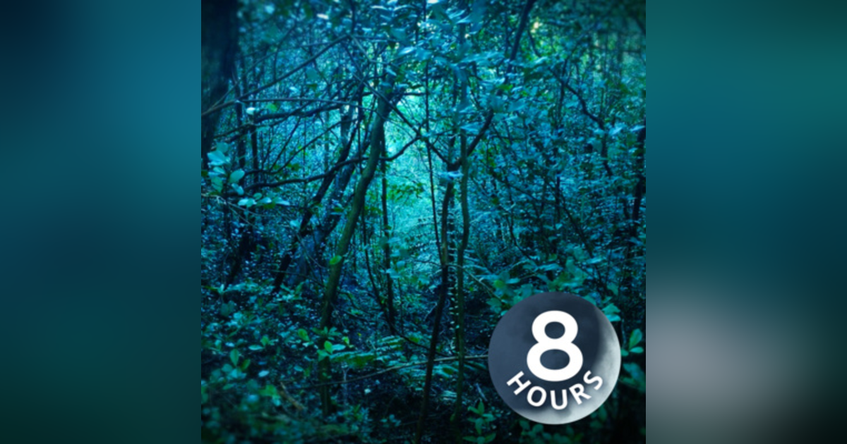 Rain in Forest White Noise | Sleep, Study or Focus to Rainstorm 8 Hours Rain in Forest White Noise | Sleep, Study or Focus to Rainstorm 8 Hours