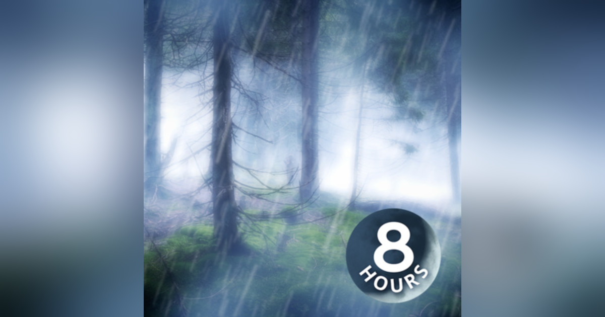 Rain in the Woods Sleep Sounds 8 hours | Nature's White Noise for Relaxation, Studying or Sleep Rain in the Woods Sleep Sounds 8 hours | Nature's White Noise for Relaxation, Studying or Sleep