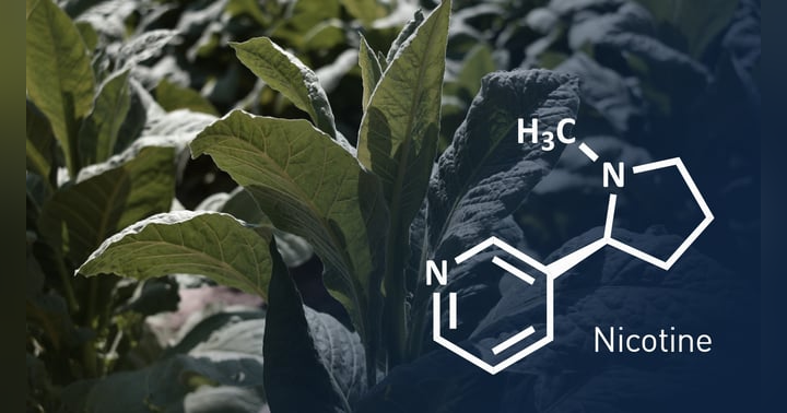 image for Exploring the Surprising Benefits of Nicotine Beyond Smoking