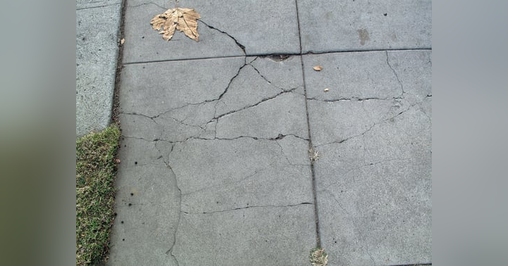 image for Stepping on Cracks: Folkloric Superstitions