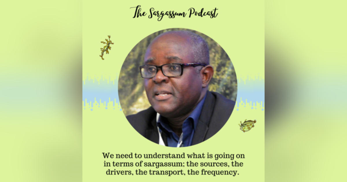 Ep34: Sargassum Networking in West Africa with Professor Kwasi Appeaning Addo Ep34: Sargassum Networking in West Africa with Professor Kwasi Appeaning Addo