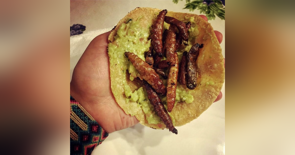 Historias de Miedo Septiembre 19 de 2024 NO TE LO COMAS Historias de Miedo Septiembre 19 de 2024 NO TE LO COMAS