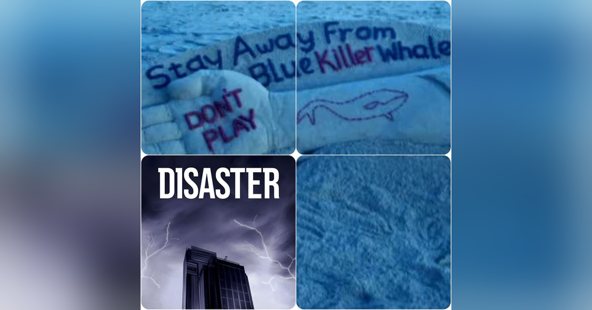 24: Blue Whale 24: Blue Whale