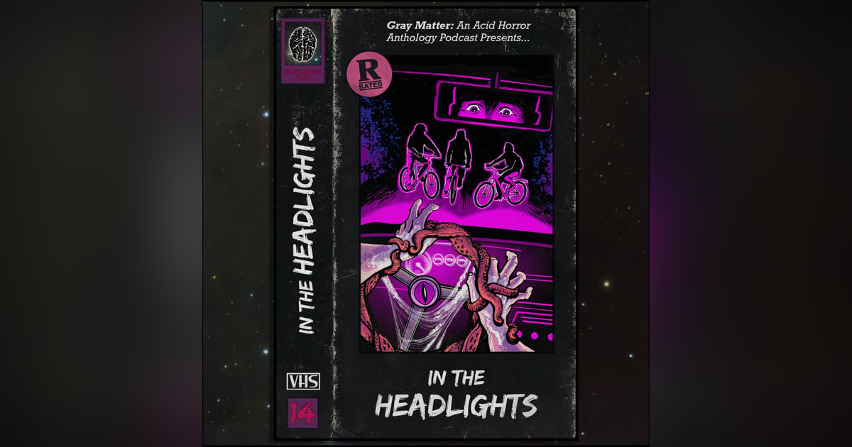 14 - In the Headlights 14 - In the Headlights