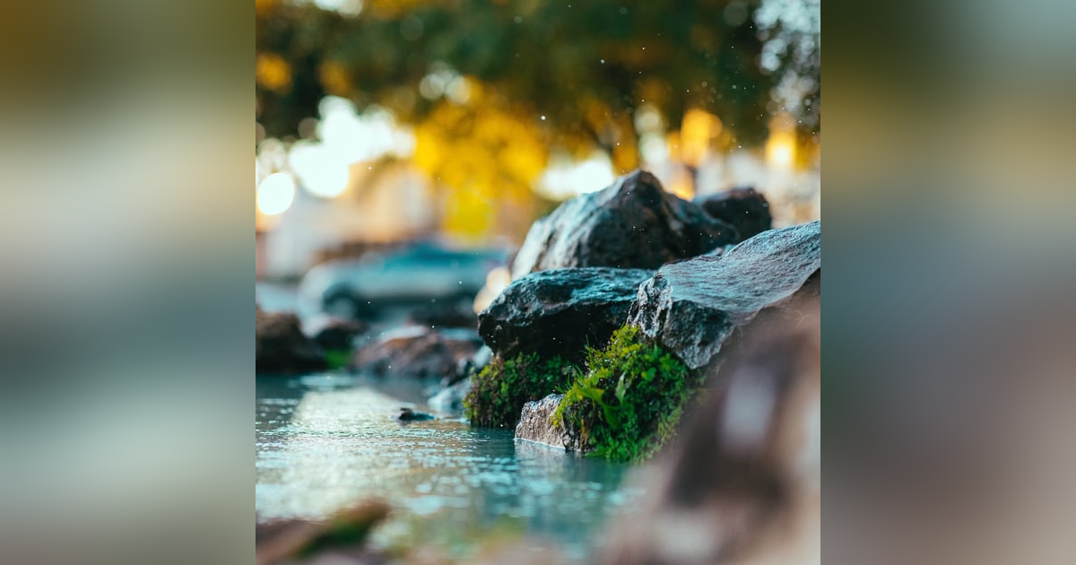 Nature's Symphony: 8 Hours of Soothing Water and Bird Sounds for Relaxation, Sleep, and Meditation Nature's Symphony: 8 Hours of Soothing Water and Bird Sounds for Relaxation, Sleep, and Meditation