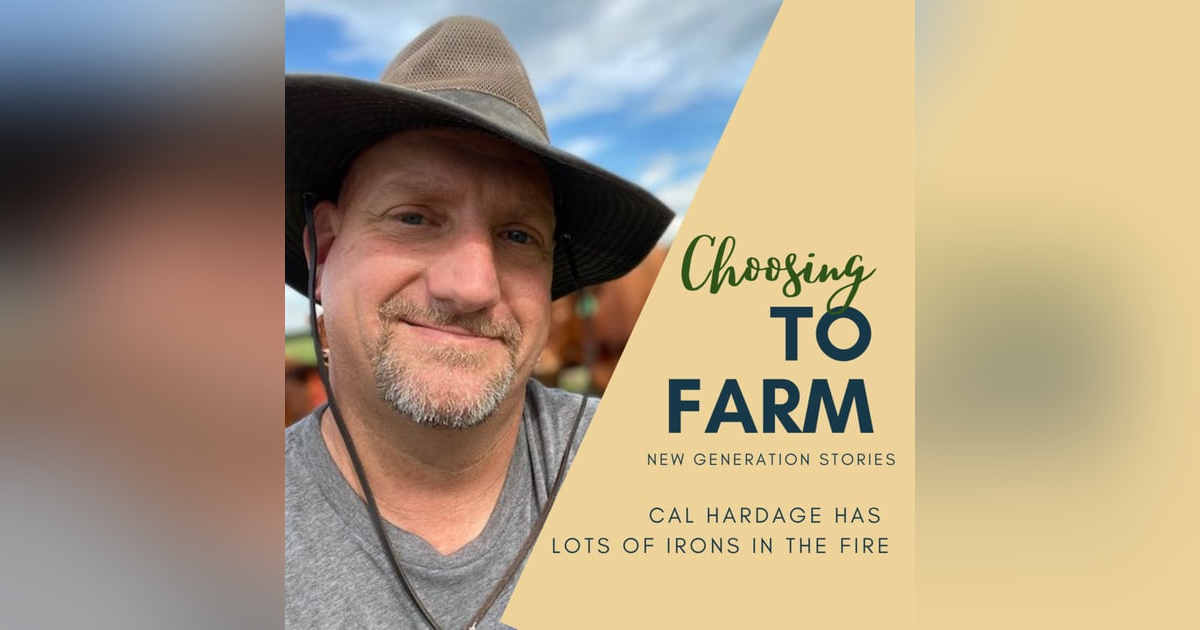 Cal Hardage Has Lots of Irons in the Fire Cal Hardage Has Lots of Irons in the Fire