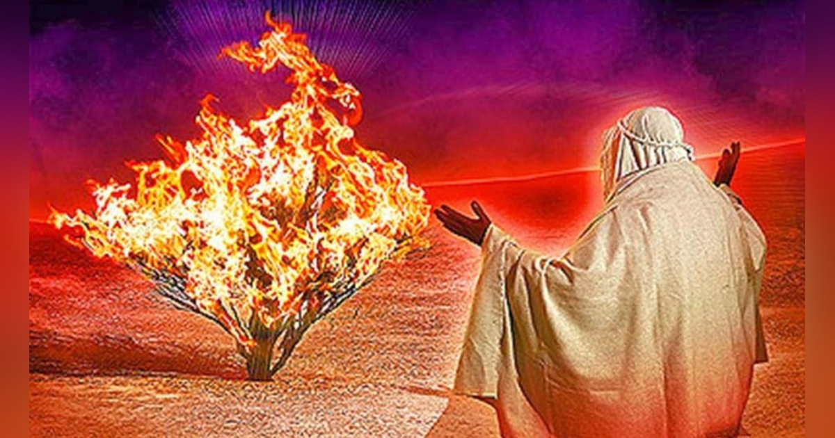 God has a personal name, and it isn't 'God' or 'Lord,' or 'Father.' #29 Reading Exodus 3. God has a personal name, and it isn't 'God' or 'Lord,' or 'Father.' #29 Reading Exodus 3.
