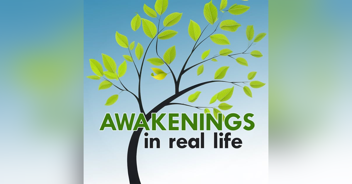 Awakening when he refused to stomp on the American and Israeli flags in Iran - with Sherman Niamehr Awakening when he refused to stomp on the American and Israeli flags in Iran - with Sherman Niamehr