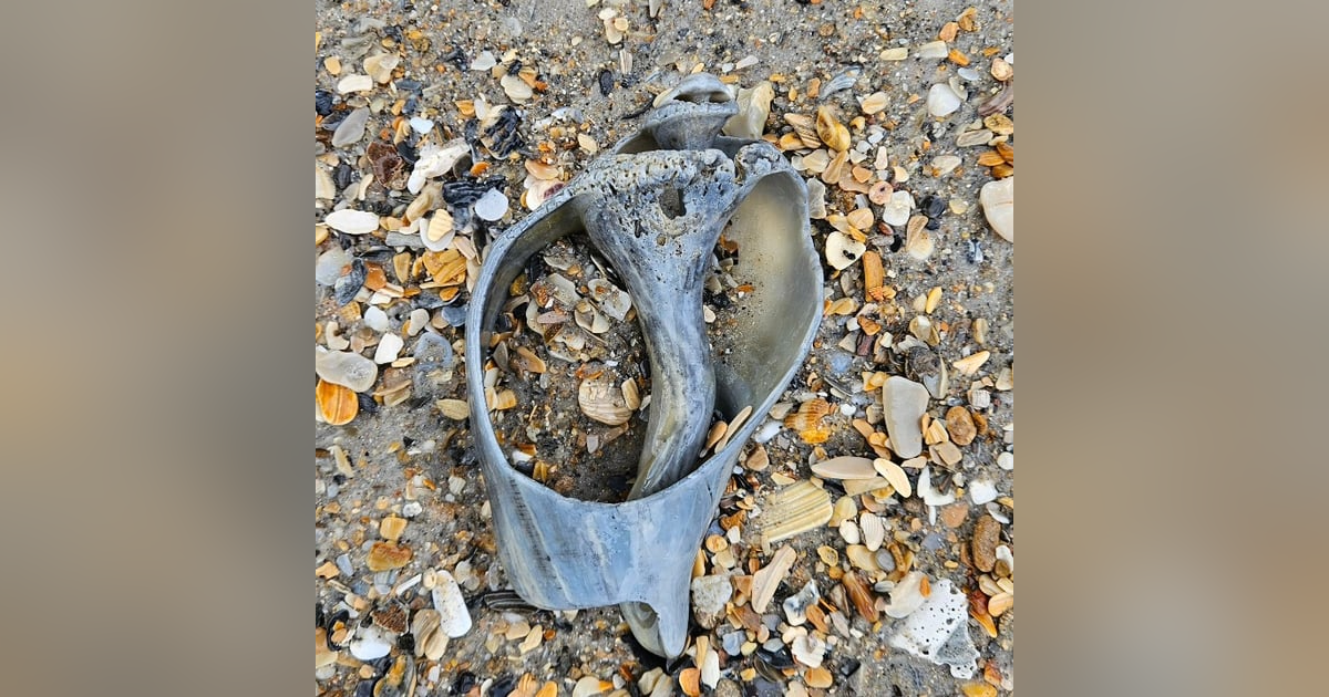 Breaking up is hard to do. And yet SO well worth it!! - EP67 Breaking up is hard to do. And yet SO well worth it!! - EP67