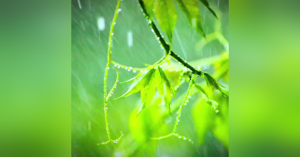 Rain Sounds for Sleep, Relaxation or Focus 12 Hours Rain Sounds for Sleep, Relaxation or Focus 12 Hours