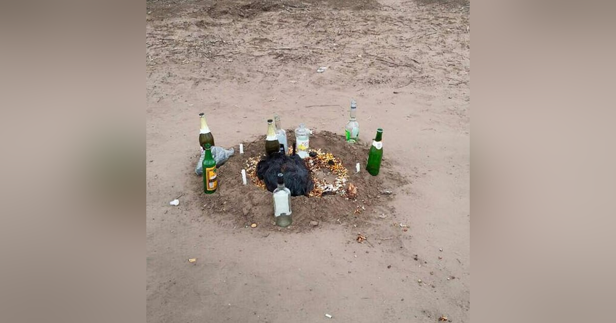 Historias de Miedo Julio 18 de 2023 UNA CASA EMBRUJADA Historias de Miedo Julio 18 de 2023 UNA CASA EMBRUJADA